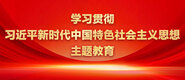 国产大鸡巴操性感大黑逼学习贯彻习近平新时代中国特色社会主义思想主题教育_fororder_ad-371X160(2)